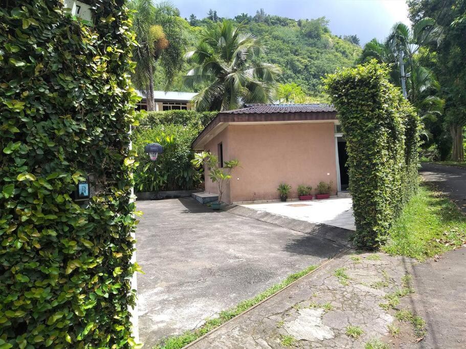 Vacation House In Tahiti Пунаауйя Экстерьер фото